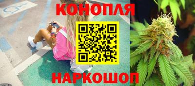 гидропоника Балахна