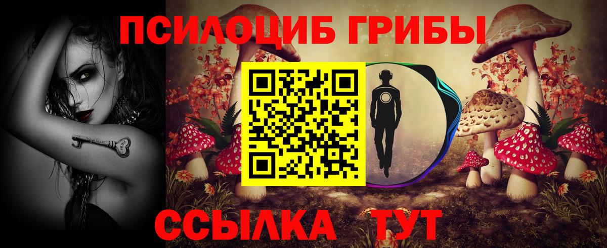 Богородск  Галлюциногенные грибы ЛСД  Вход с VPN 
