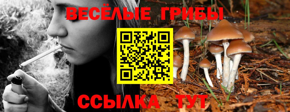 Псилоцибиновые грибы ЛСД Богородск